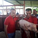 Más de 1 tonelada 300 kilos de estupefacientes son incinerados en Táchira