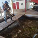 Gabinete de Infraestructura embellece elevado de Puente Real