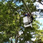 Protectorado anuncia que puente La Chivata será inaugurado en cuatro meses con dos canales