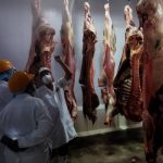 CNE proclama a más de mil jueces y juezas de paz comunal en Táchira